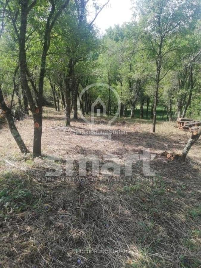 Teren intravilan cu CF 5400mp front 17 Savadisla jud Cluj - 2