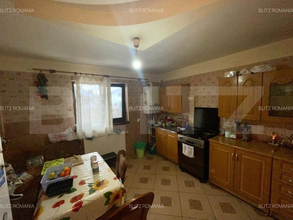 Case in aceeasi curte, 500 mp,  zona Miroslava-Family Market - 7