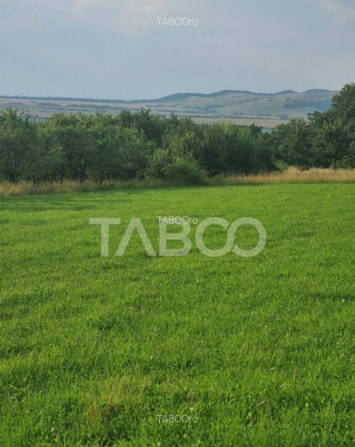 Teren pretabil cabana sau gradina 1670 mp zona deosebita Sib - 3