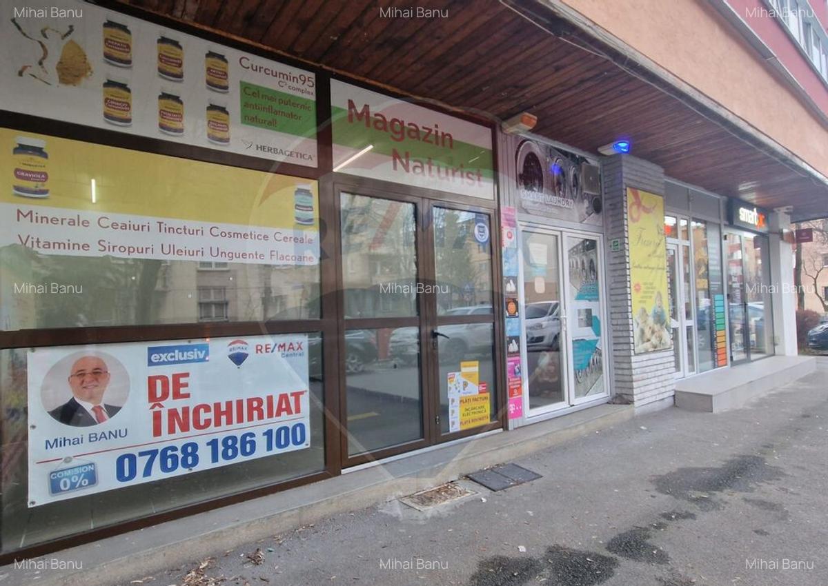 Spa?iu comercial de inchiriat Scriitorilor, strada Cara... - 10
