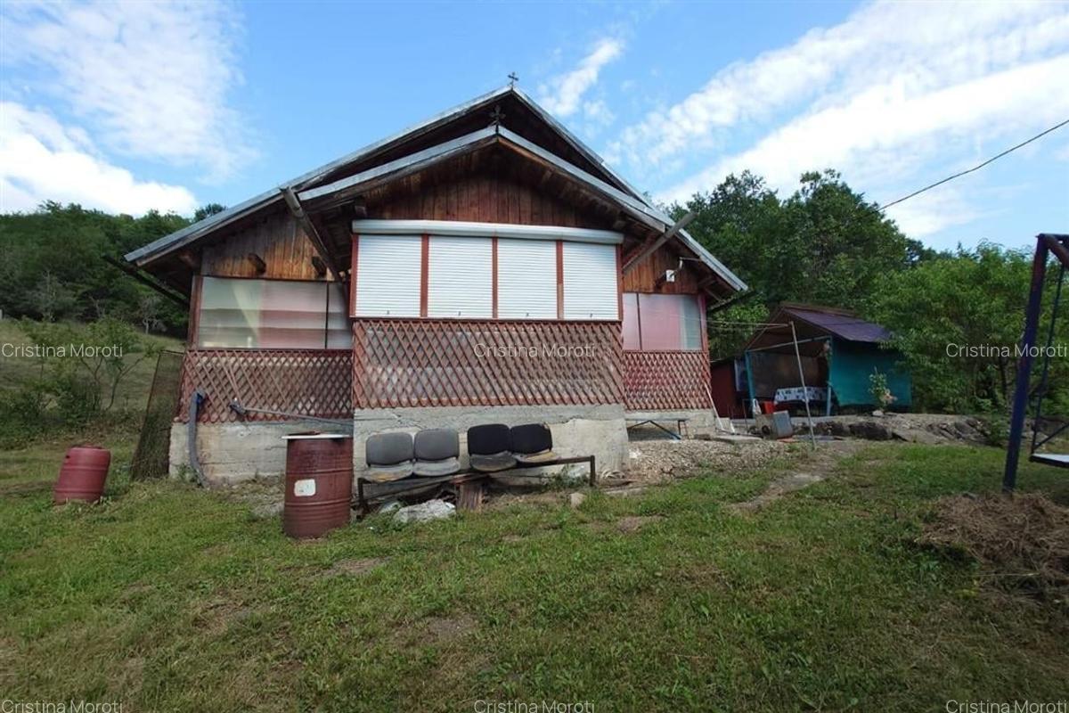 Cabana, anexe si 2000 mp teren intravilan in Taratel, Brad - 2
