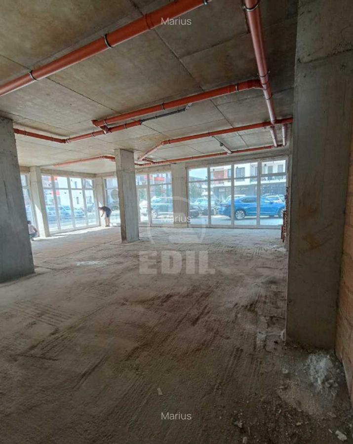 Spatiu comercial de vanzare, Terra - 5