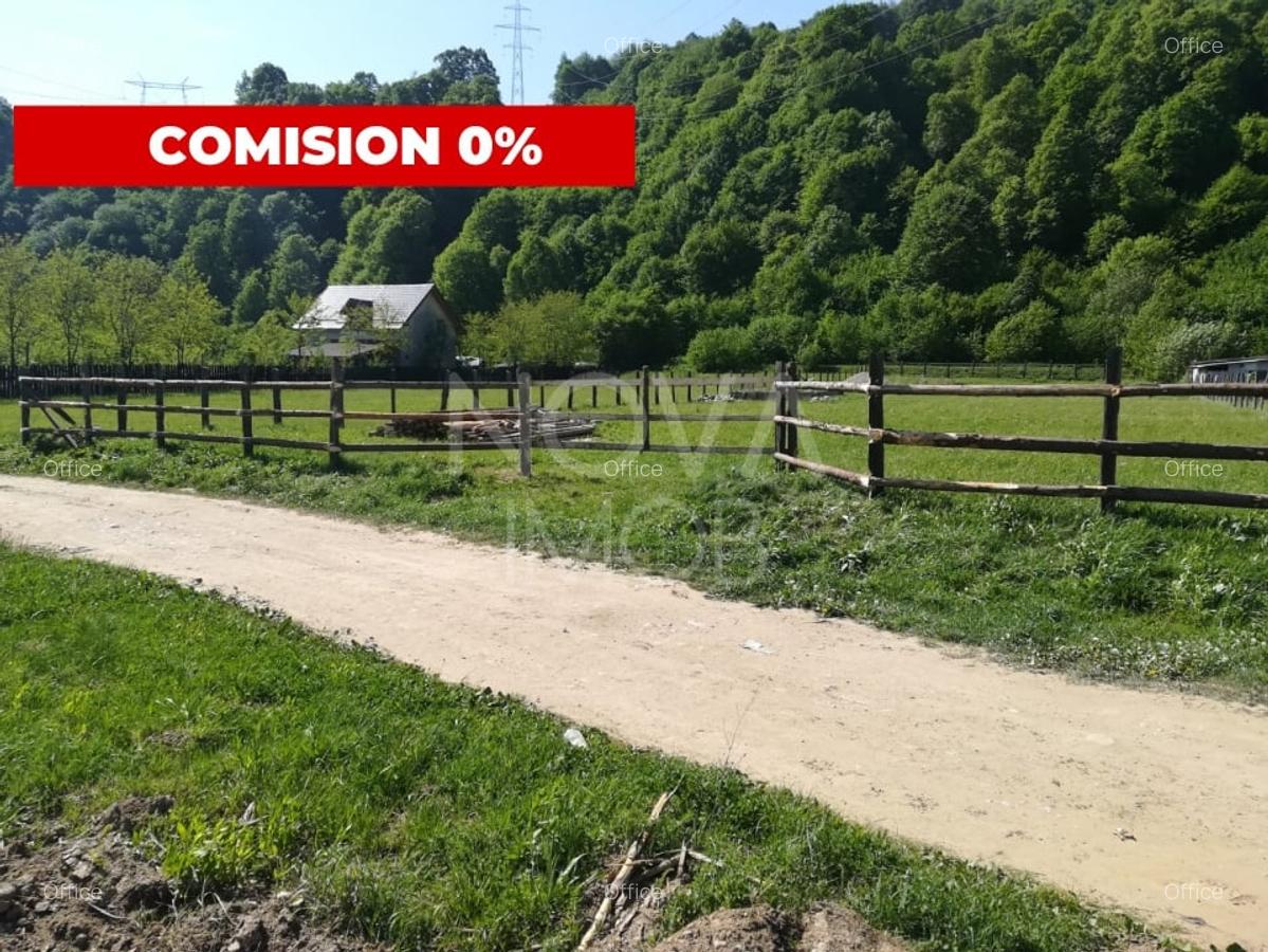 Teren extravilan - Talmaciu - 1