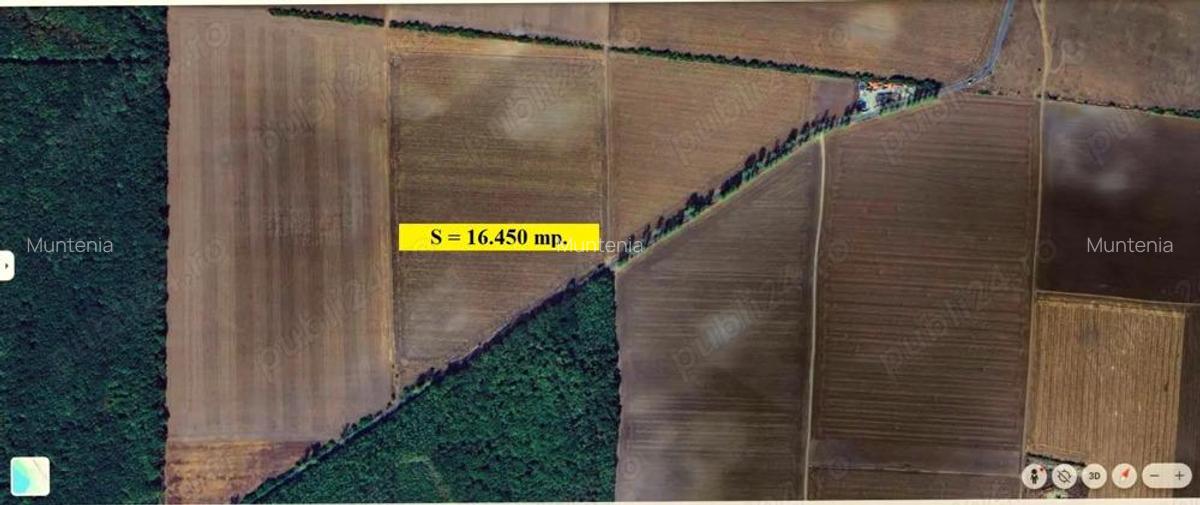 Gradistea - Tarla 34, teren 16.450 mp. in apropiere de DJ 200 si Padure - 4