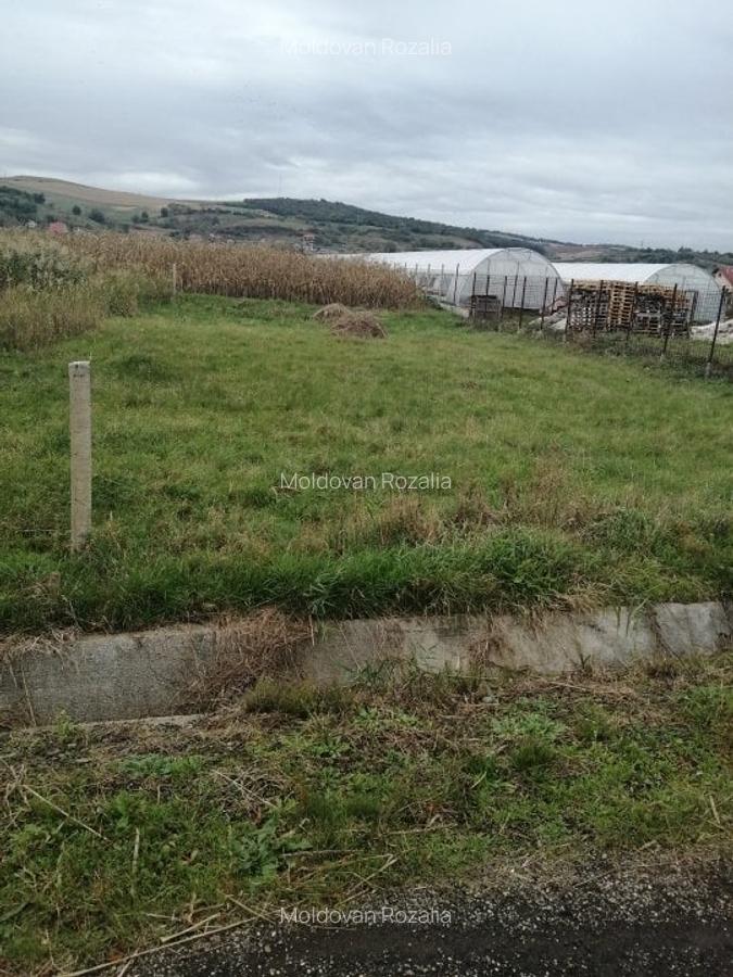 Vand teren intravilan ,Santana de Mures,1706mp,certificat de urbanism.(Cod 33F). - 5