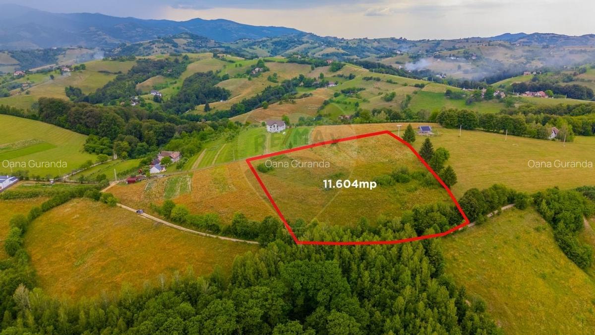 Teren Construcții intravilan de 11600 mp, în Poiana Mărului - 23