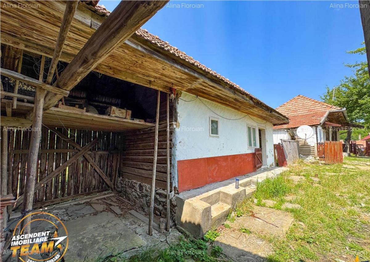 FILM!Casa personalizabila anexe domeniu de peste 3.600mp,in - 14