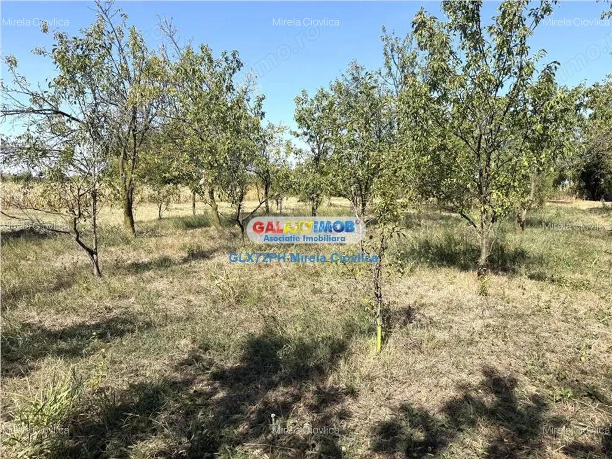 Vanzare teren intravilan Baicoi Central - 1 Vanzare teren intravilan Baicoi Central - 1