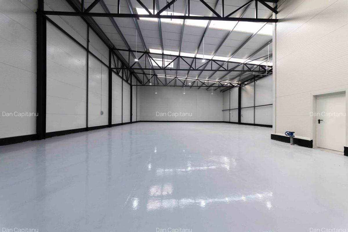 Zona Drumul Intre Tarlale - hale noi 600mp - 6