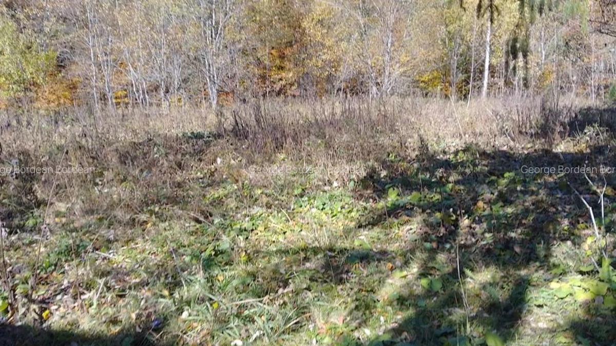 Vand teren intravilan in Paraul Rece - 2