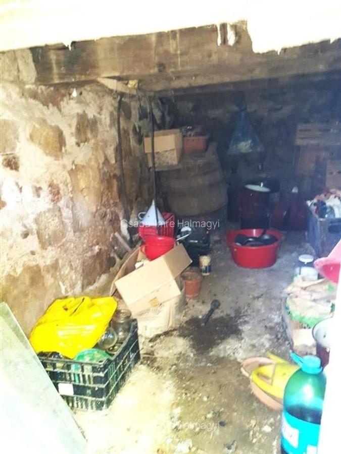 Casă individuală cu 2 camere în Ginta - 17
