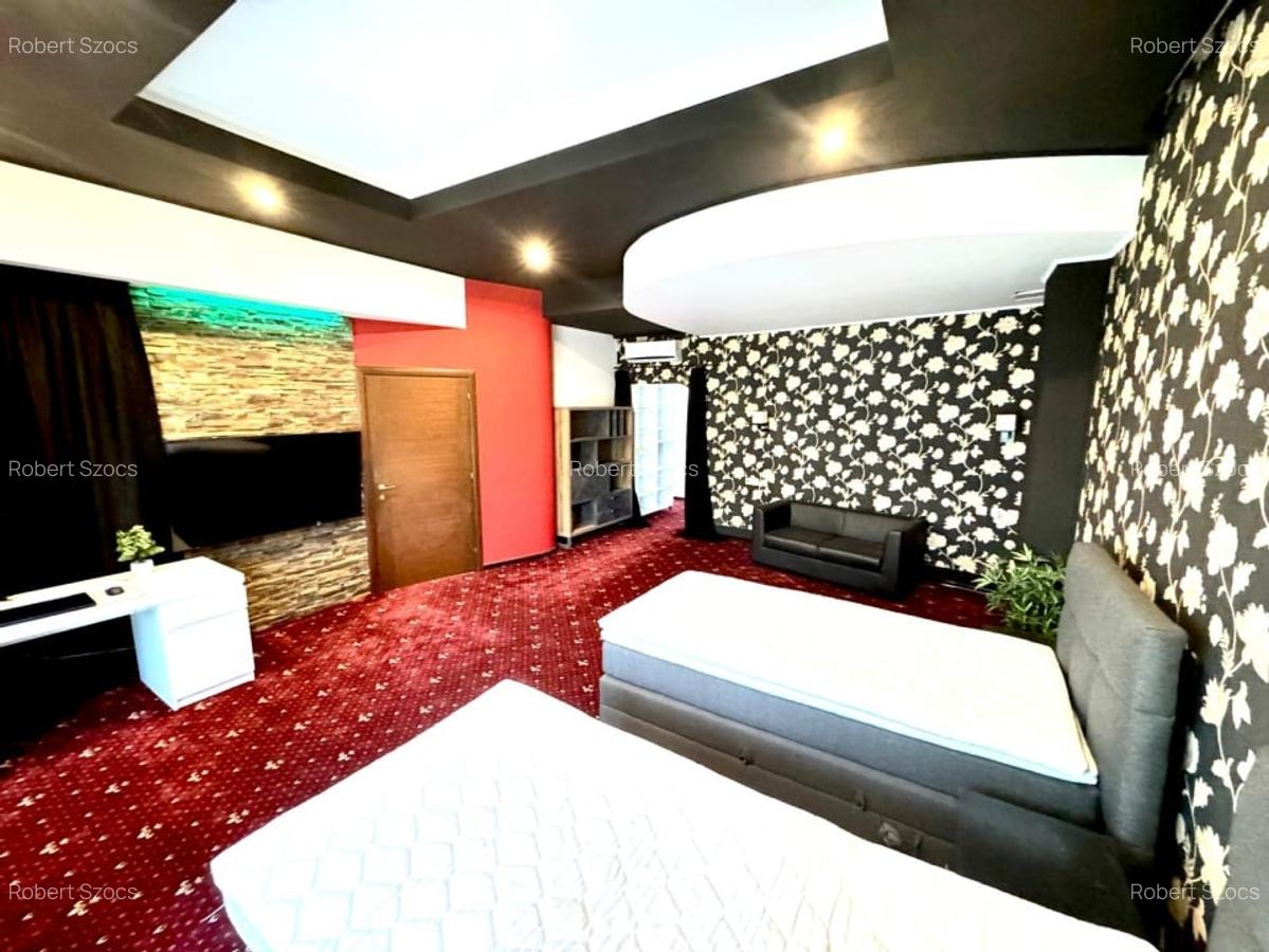 Vila premium 455 mp, destinatie rezidentiala/comerciala-Carrefour Colentina! - 13