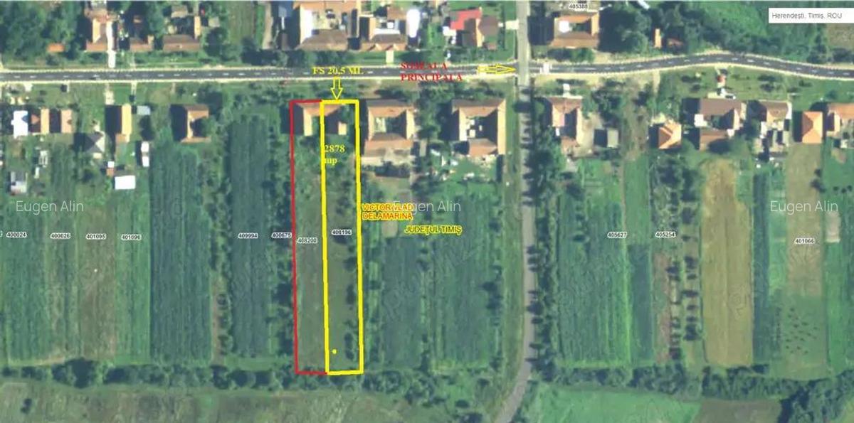 2 Case in Herendesti, la 7 km de Lugoj - 3