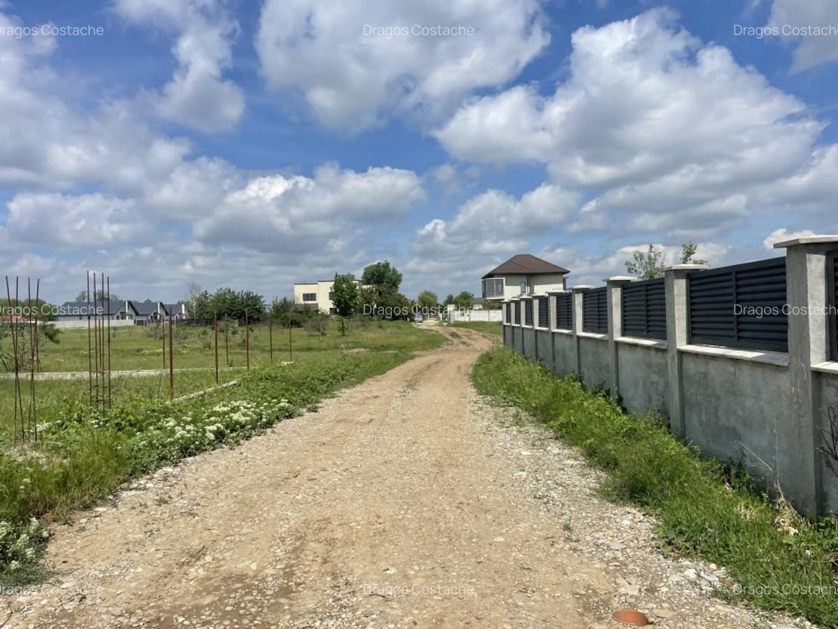 Domnesti, Str Teiului, teren 1500mp, 40ml deschidere, utilitati. - 5