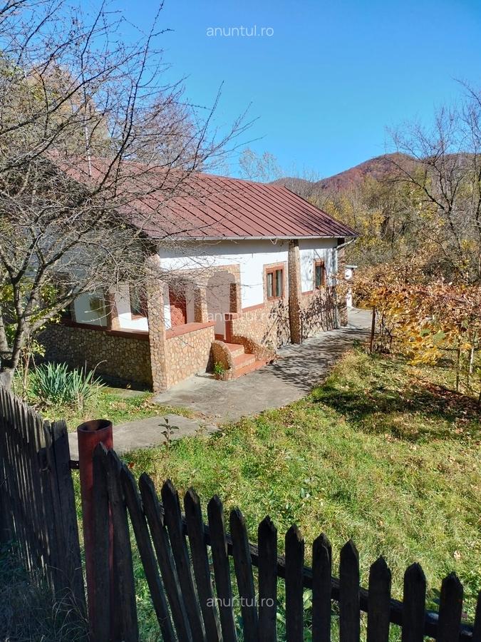 Iedera, Cricovul Dulce, casa batraneasca 90 mp, teren 2.450 mp - 1