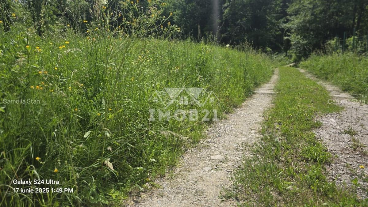 VANZARE TEREN INTRAVILAN 1868 MP IN BREAZA PRAHOVA - 8