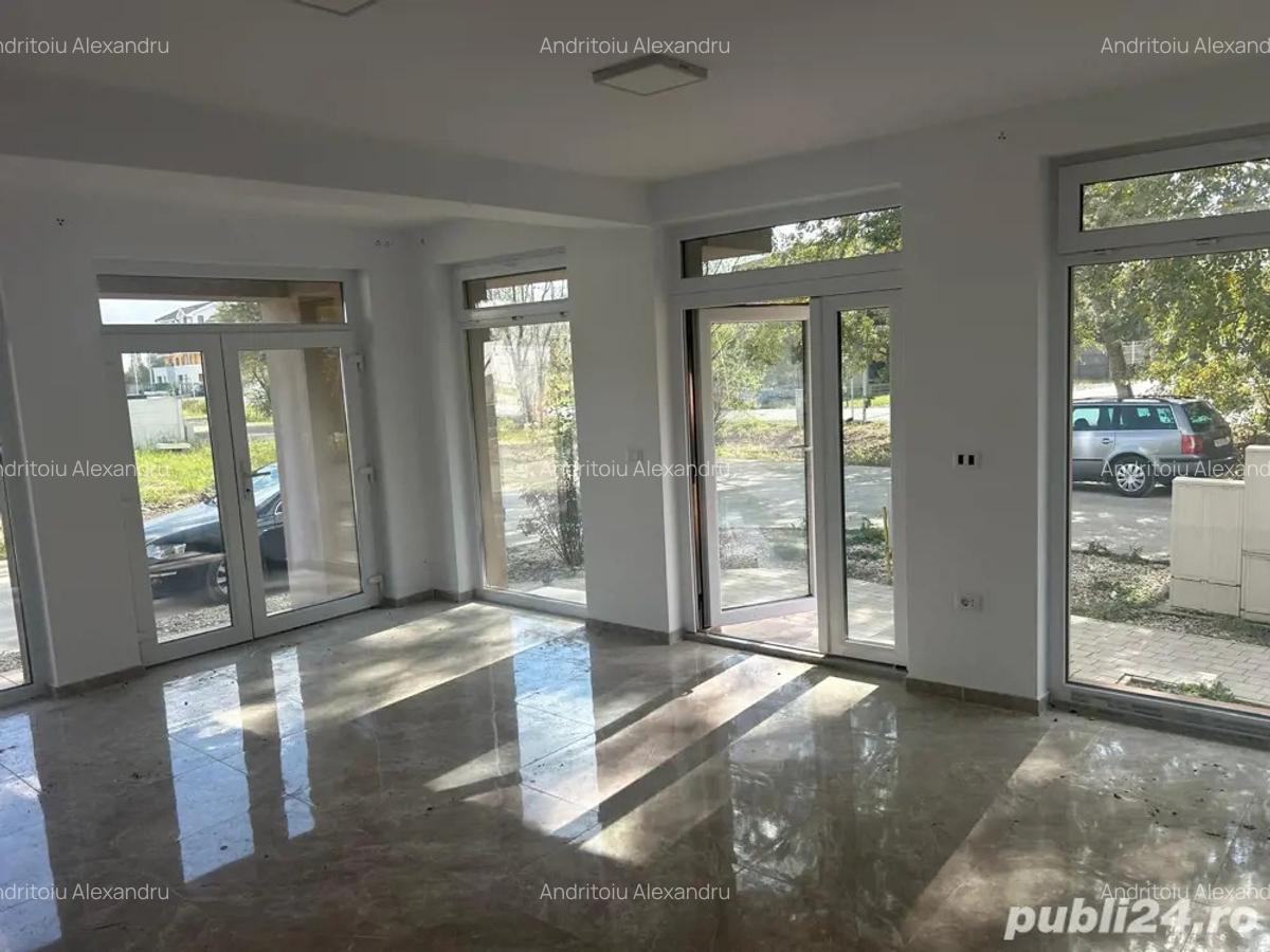 Inchiriere spa?iu comercial Giroc (langa Uzina de Apa) - 3