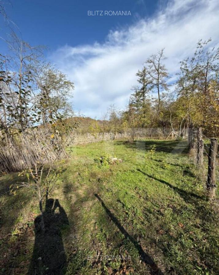 Teren intravilan 1500 mp, ideal pentru casa Iedera - 3 Teren intravilan 1500 mp, ideal pentru casa Iedera - 3