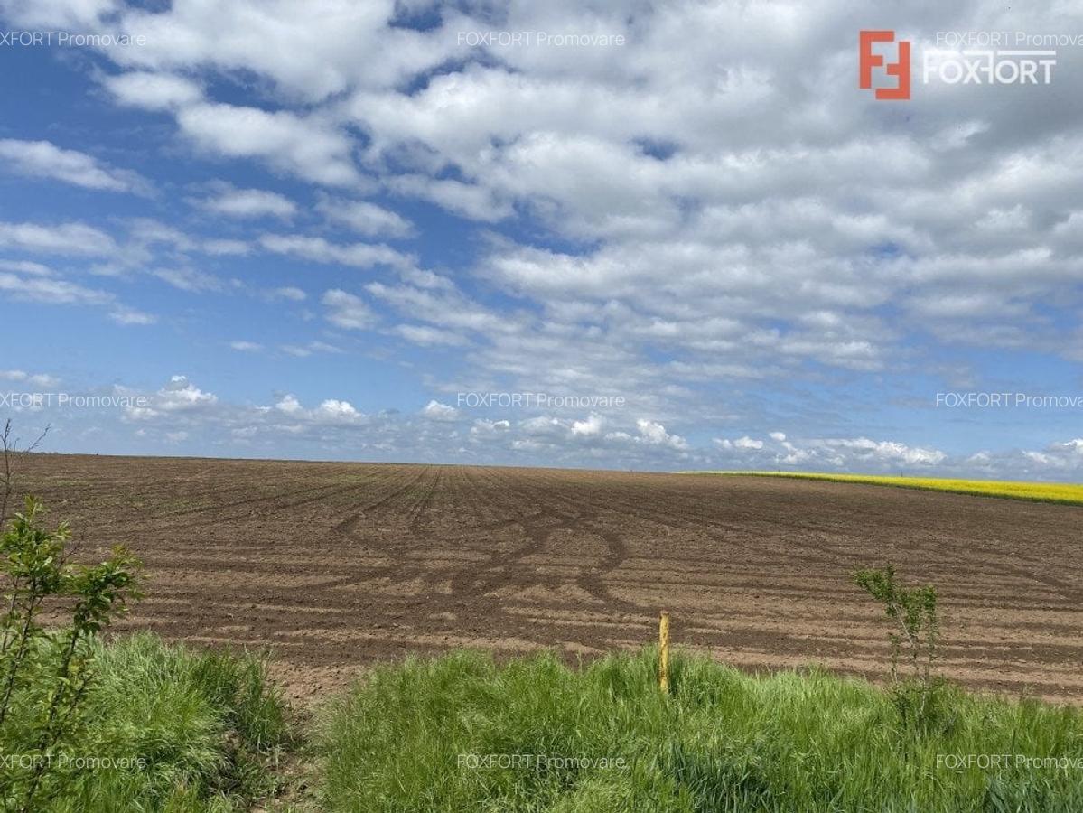 Teren Agricol | Opurtunitate investitie | Sananadrei - ID V713 - 5