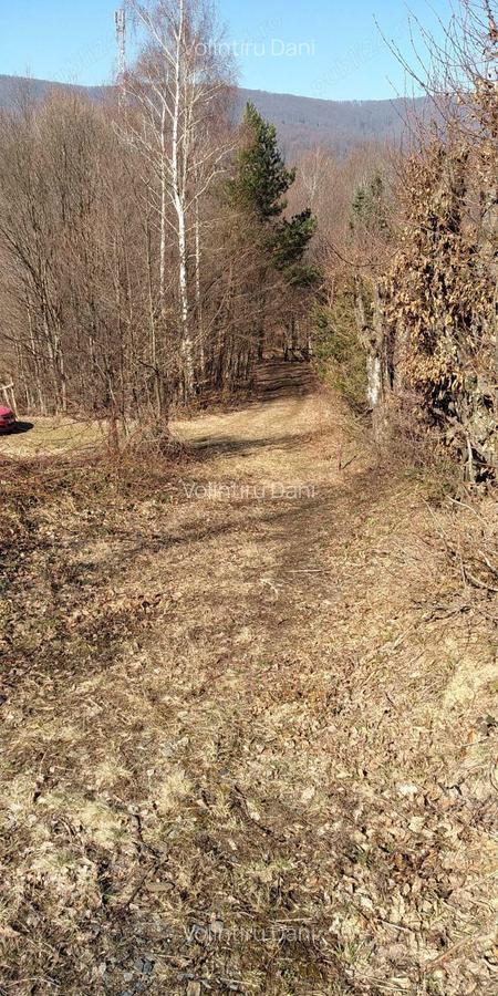 Teren Valiug 900-2400 mp acces auto utilita?i negociabil - 17