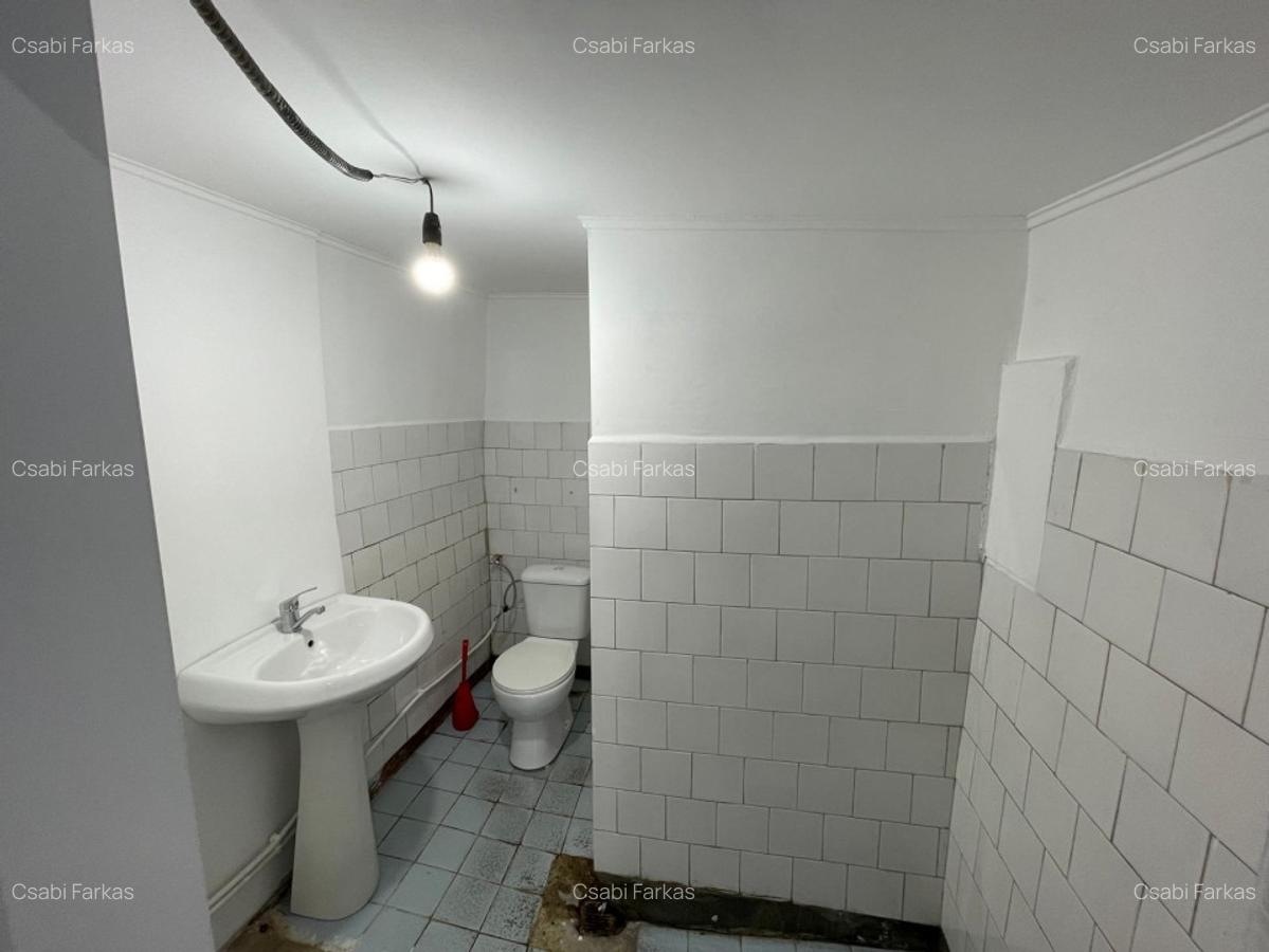 Casa cu 2 camere, 48mp, central - 11