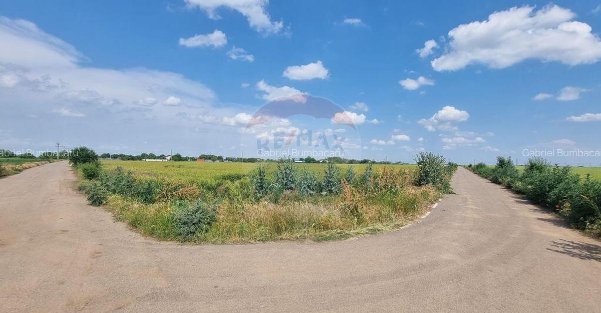 Teren intravilan - 17.500 mp - Gostilele Fundulea - 6 Teren intravilan - 17.500 mp - Gostilele Fundulea - 6