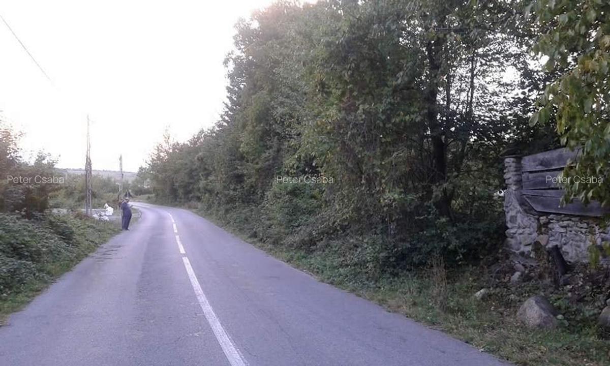 Teren de vanzare, ideal pentru Casa de vacanta/Hotel - 8