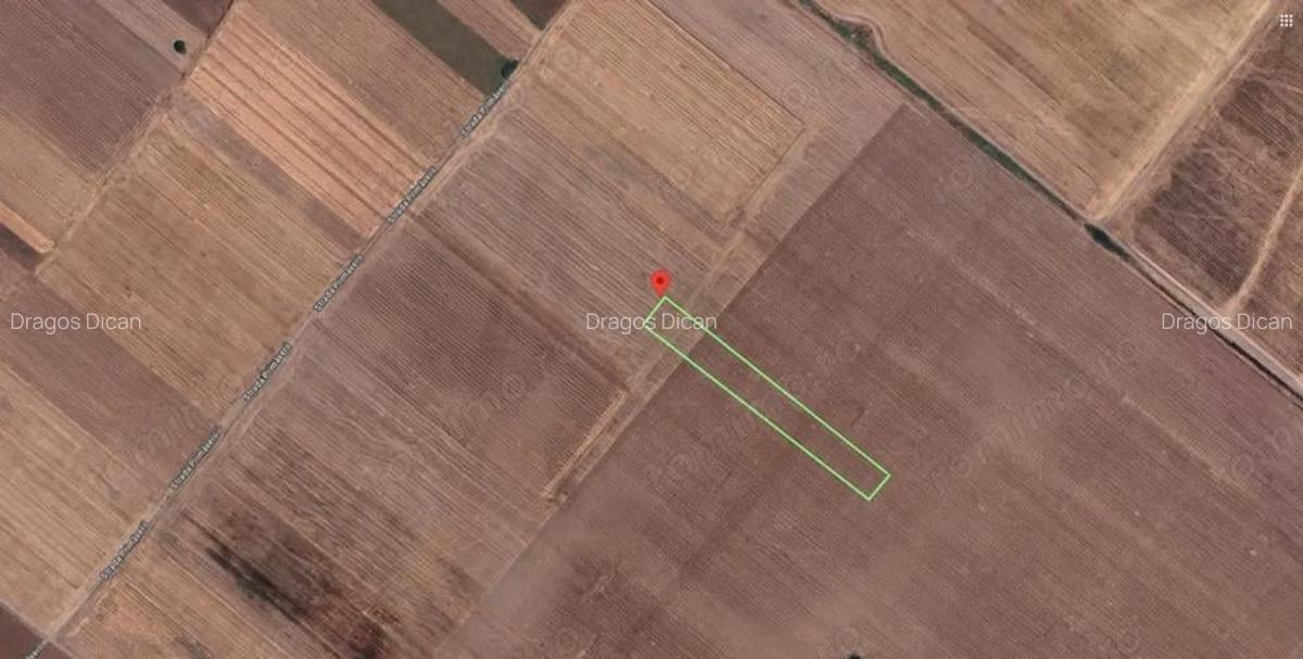 Teren Extravilan In Rate Primaverii Com. Berceni | 4997mp | #EG48 - 1