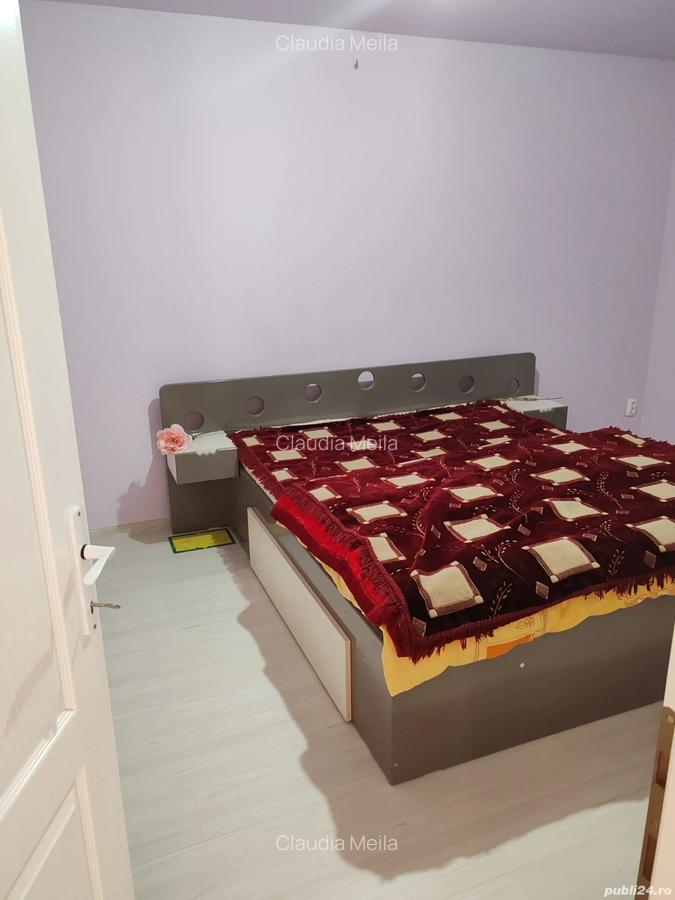 Casa de Vanzare Sanandrei - 10