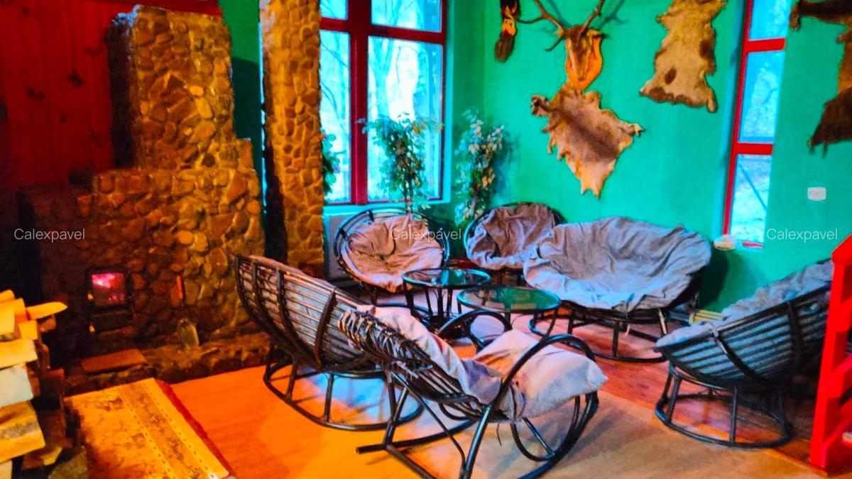 Casa de Vacanta / Cabana / Vila / Pensiune / Lepsa Vrancea -Munte - 12