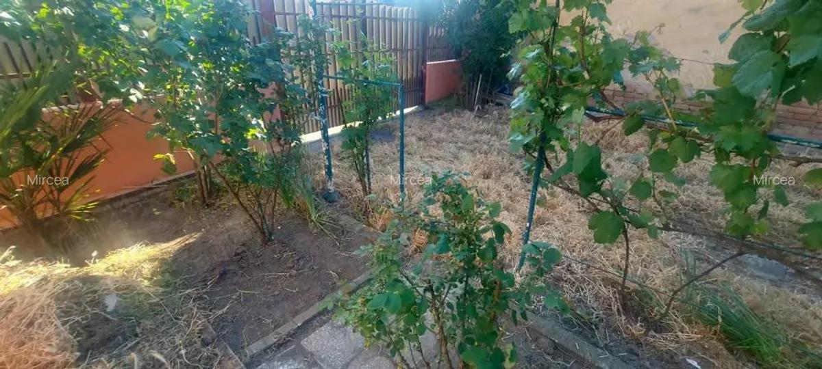 Casa cu teren 710 mp, Victor Hugo Fratelia - 3