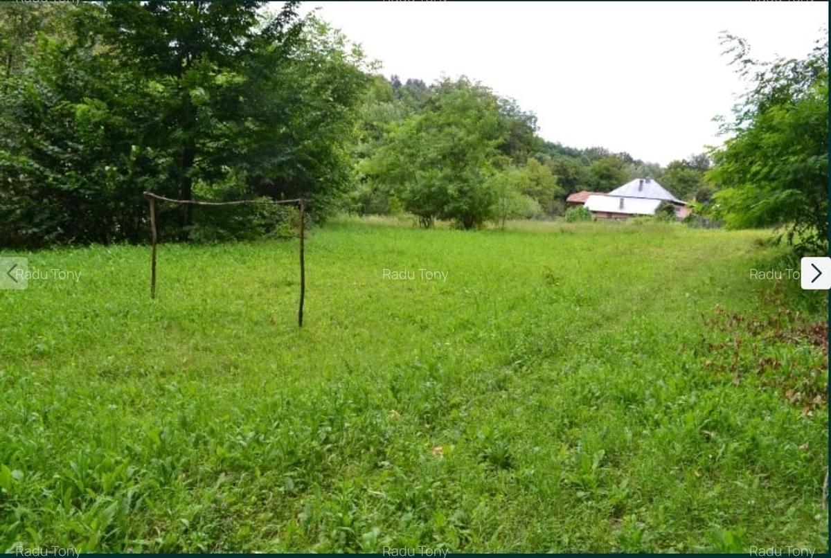 Teren intravilan Merisani Arges - 1