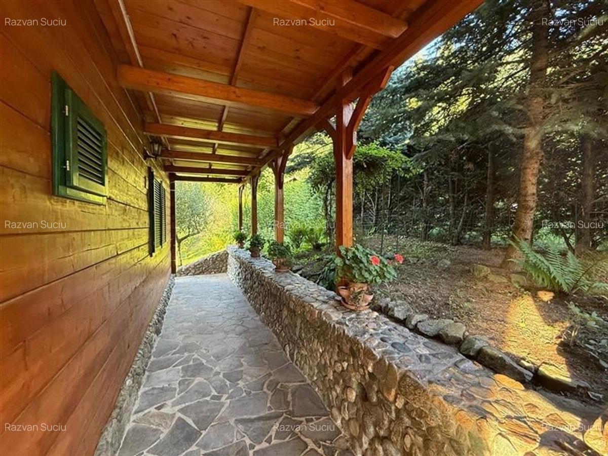 Cabana - Casa de vacanta situata in Muntele Rece! - 14