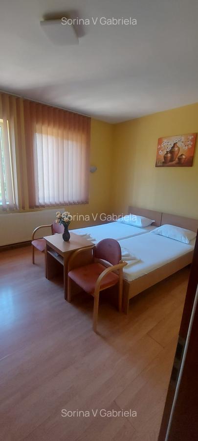 Pensiune functionala arhitectura deosebita Buzias - 10