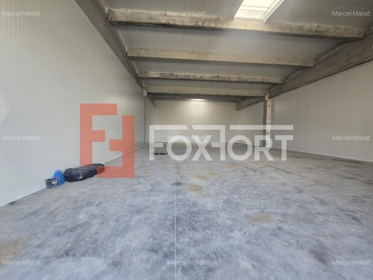 Spațiu industrial, 524 mp în Sânandrei - 1