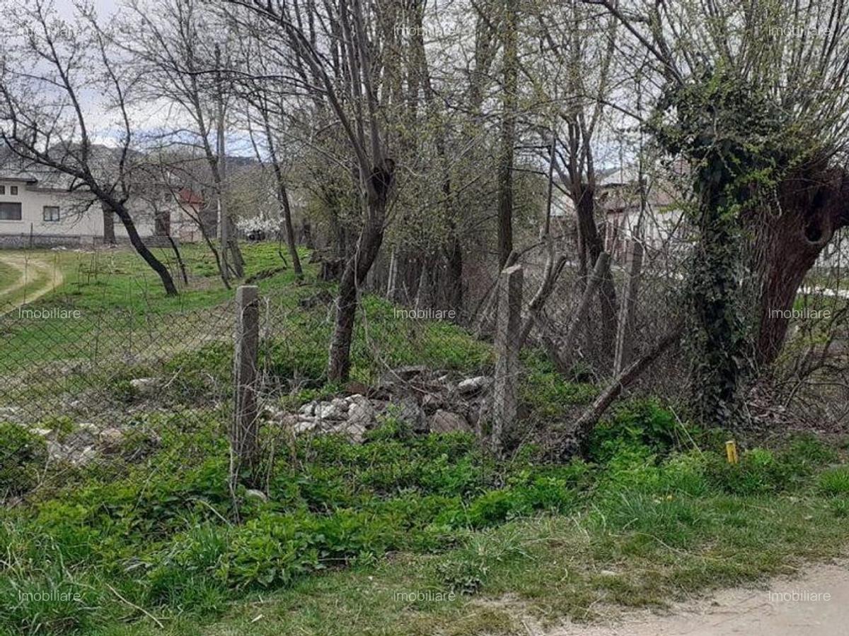 Casa de vanzare Domnesti Arges - 11