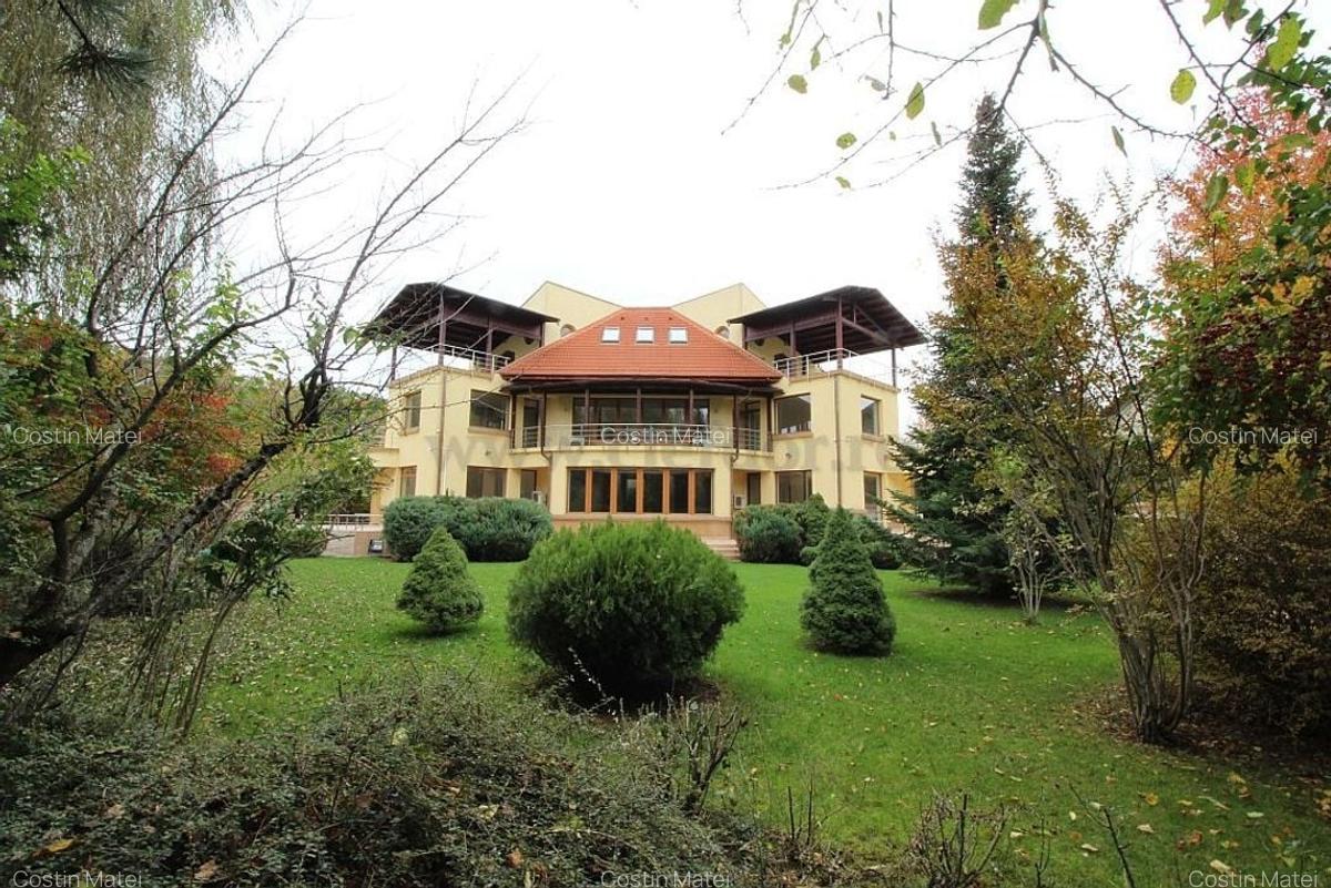 Vilă Individuala cu gradina de 2000mp în zona Iancu Nicolae - 3