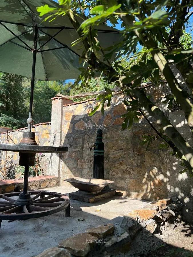 Vand casa Saca Montana - 5