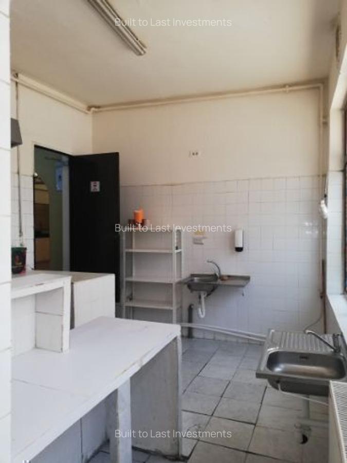 Parcul Carol activitati comerciale horeca servicii showroom - 7