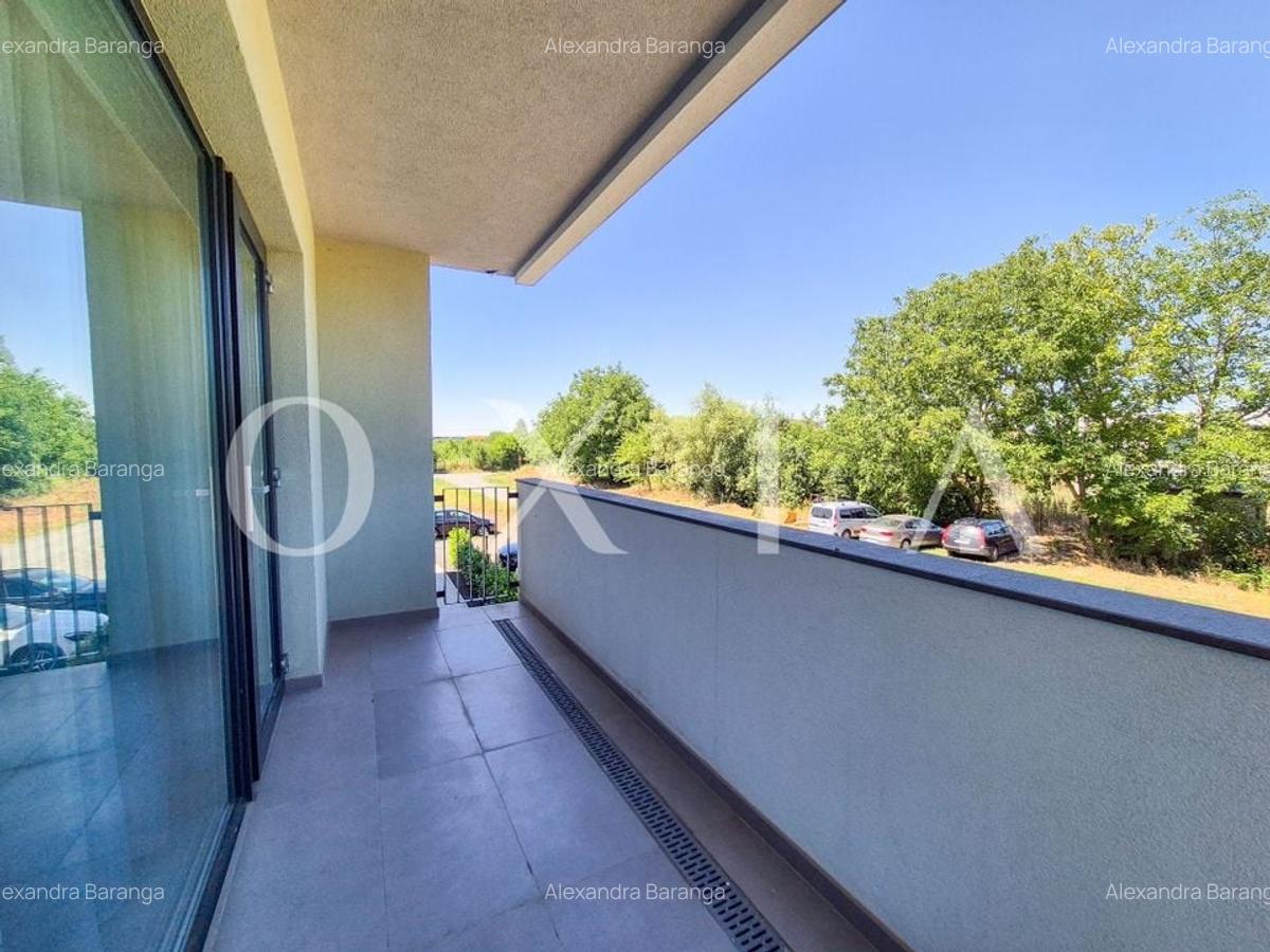 AX1068 Dumbravita, Bulevardul Petre Tutea, Prima Inchiriere - 19