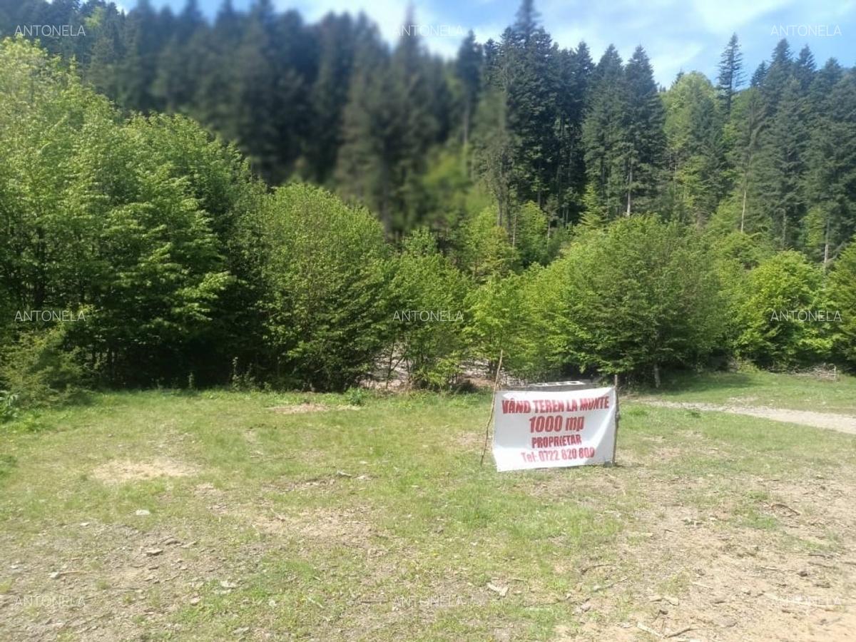 Vnd teren la munte, zona foarte frumoasă - 5