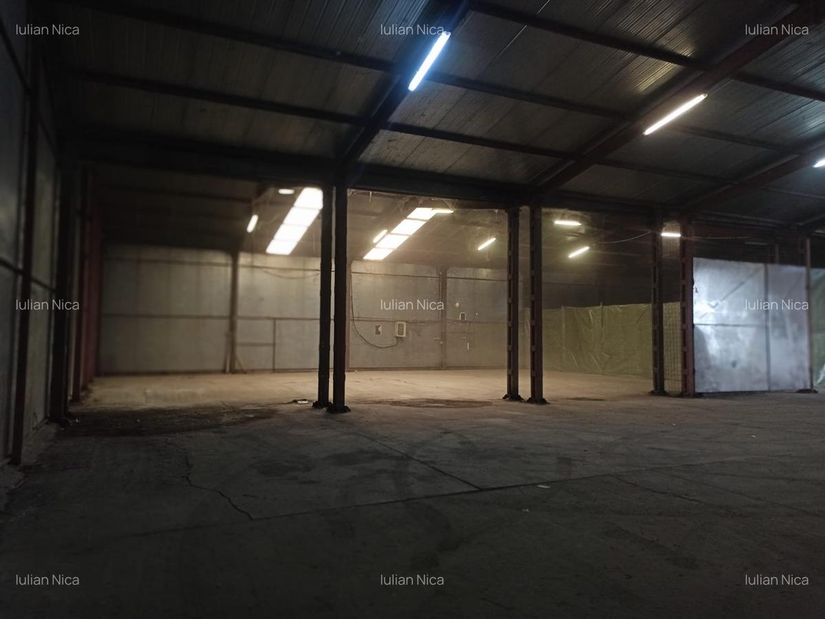 Spațiu industrial, 220 mp în Centura Sud - 3
