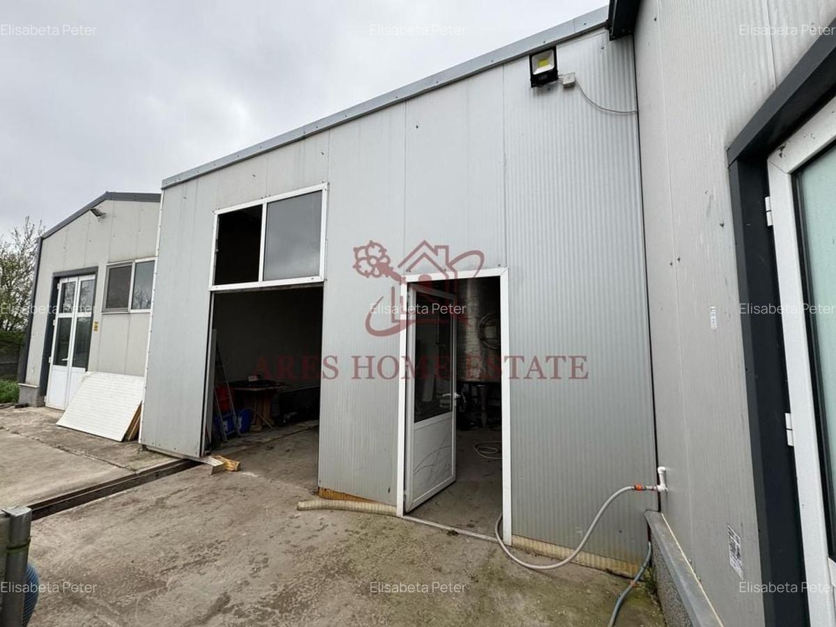 Spațiu industrial, 1200 mp în Bucovăț (Remetea Mare) - 5