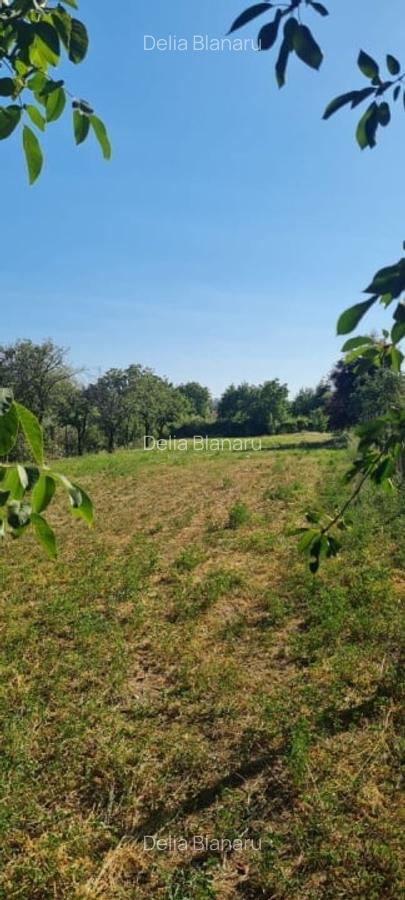 Teren 2236mp intravilan Jaristea - 6