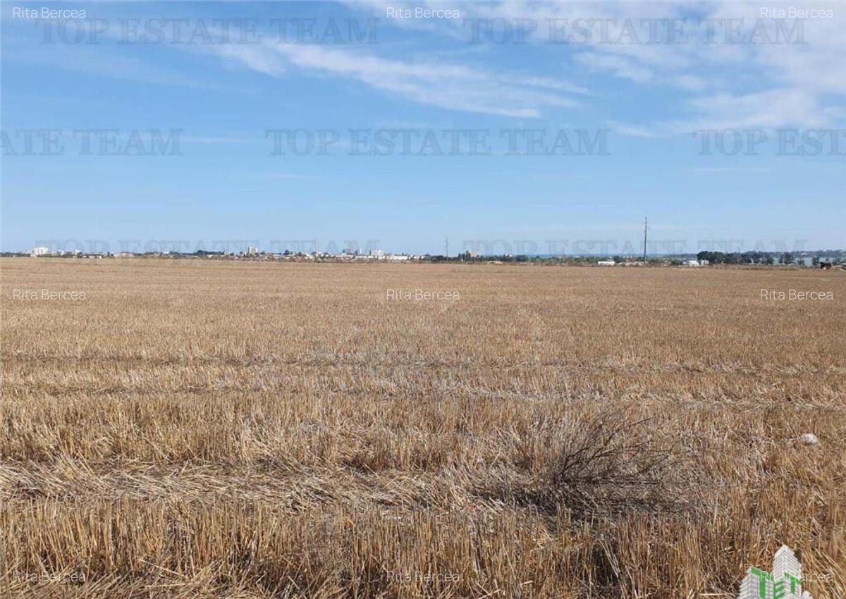 Teren Techirghiol - 7