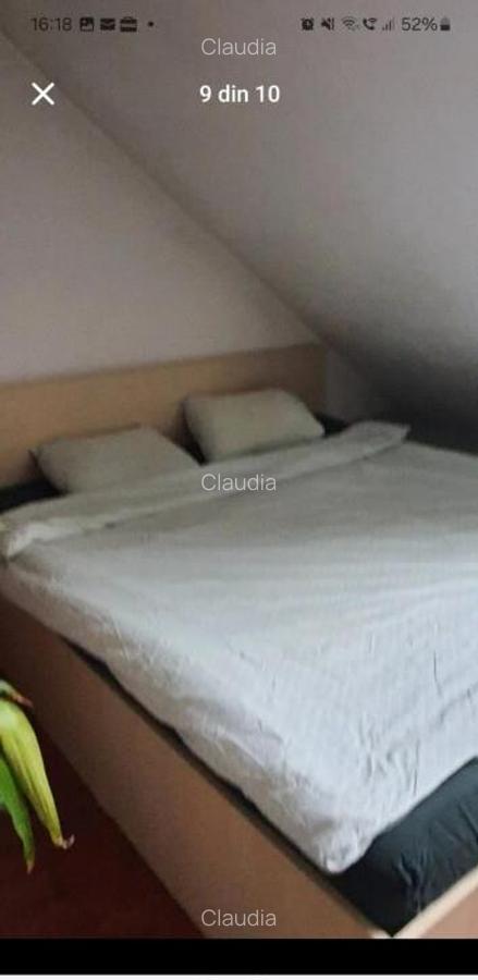 Apartament 2 camere Faget - 2