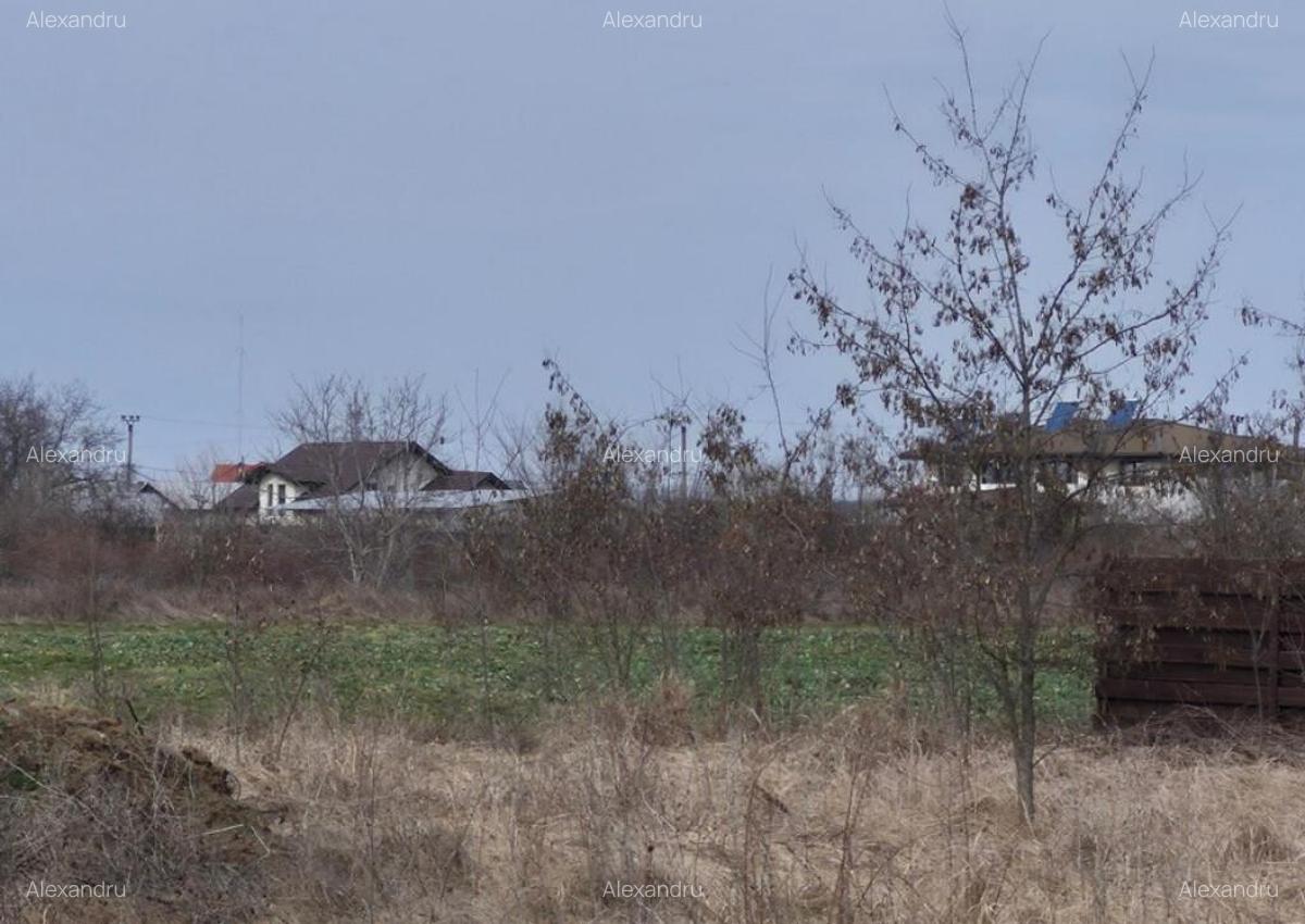 Teren intravilan ieftin Balotesti, 1100 mp, 25000 euro - 1