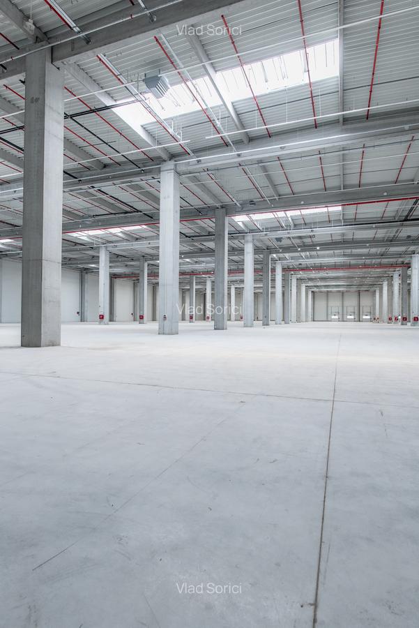 Depozit Hala Autorizata ISU 600 mp -15000 mp - 2 Depozit Hala Autorizata ISU 600 mp -15000 mp - 2