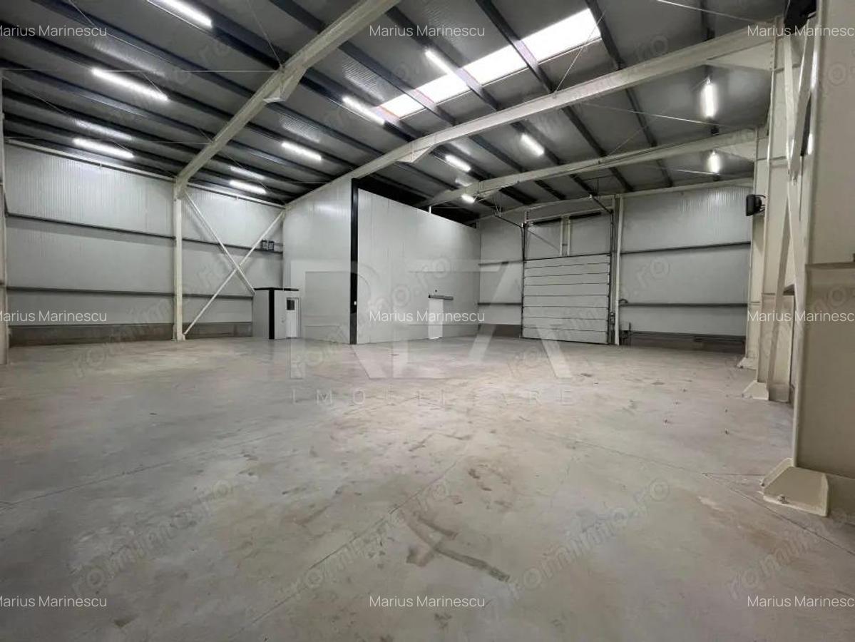 HALA PRODUCTIE / DEPOZITARE CHIAJNA CENTURA - 3