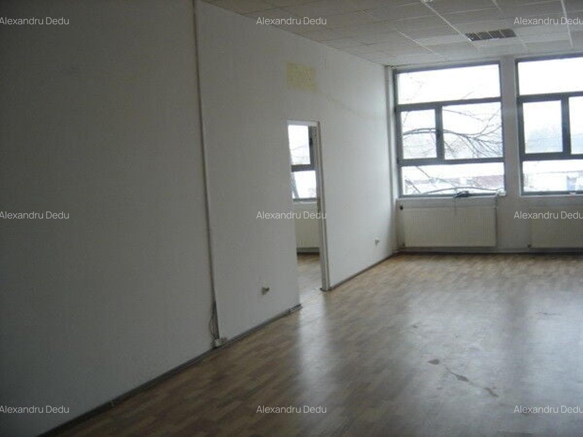 Spațiu industrial, 10000 mp în Vitan - 6
